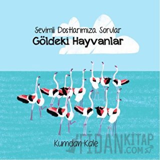 Sevimli Dostlarımıza Sorular Göldeki Hayvanlar