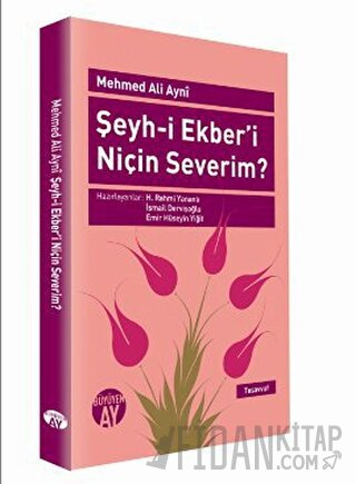 Şeyh-i Ekber’i Niçin Severim?