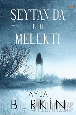 Şeytan da Bir Melekti