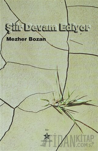 Şiir Devam Ediyor