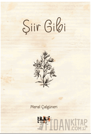 Şiir Gibi