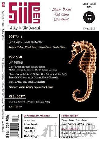 Şiirden İki Aylık Şiir Dergisi Sayı: 33 Ocak-Şubat 2016
