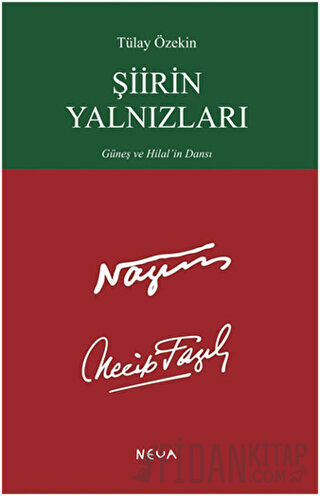 Şiirin Yalnızları Tülay Özekin