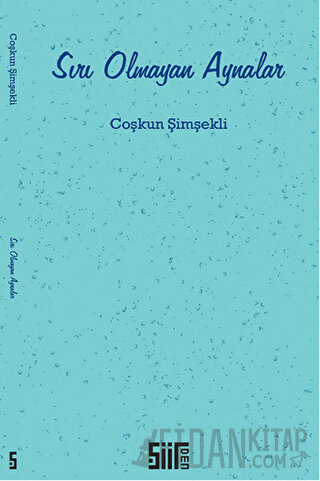 Sırı Olmayan Aynalar