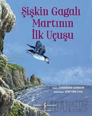 Şişkin Gagalı Martının İlk Uçuşu