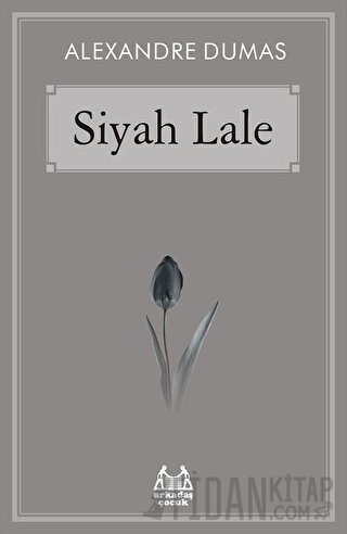 Siyah Lale