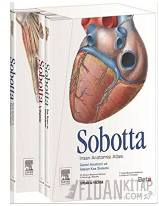 Sobotta İnsan Anatomisi Atlası (3 Cilt Takım) (Ciltli) F. Paulsen