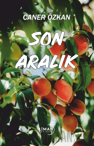 Son Aralık