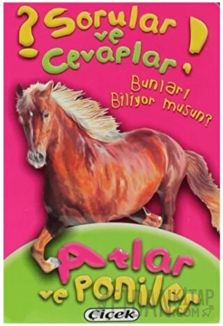 Sorular ve Cevaplar - Atlar ve Poniler Kolektif