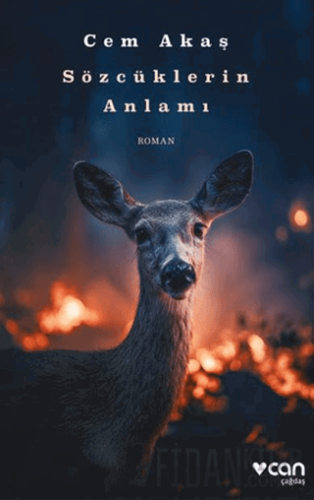 Sözcüklerin Anlamı