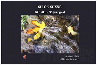 Su da Susar