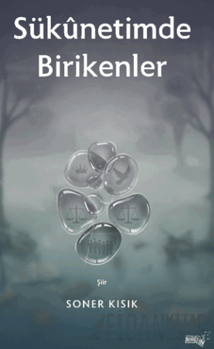 Sükunetimde Birikenler Soner Kısık
