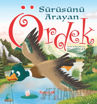 Sürüsünü Arayan Ördek