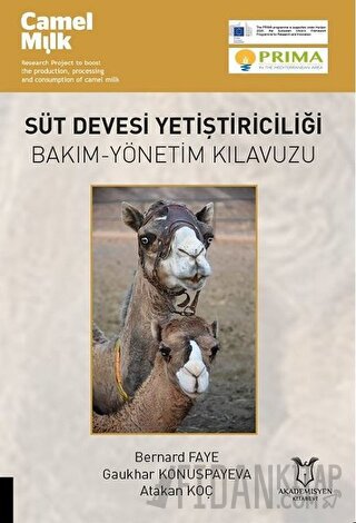 Süt Devesi Yetiştiriciliği