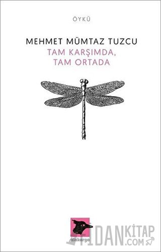 Tam Karşımda, Tam Ortada