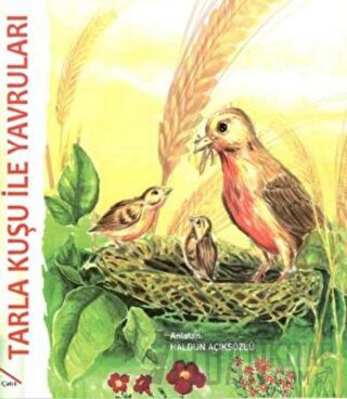 Tarla Kuşu ile Yavruları - La Fontaine Masalları 4