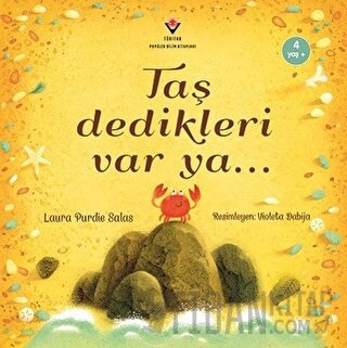 Taş Dedikleri Var Ya...