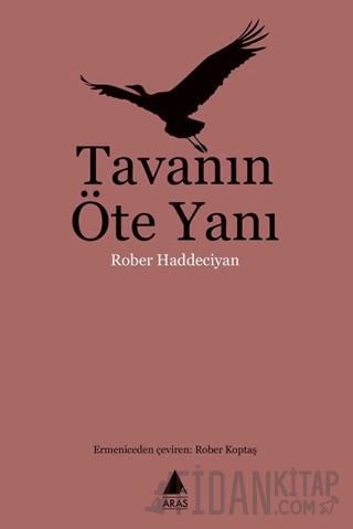 Tavanın Öte Yanı