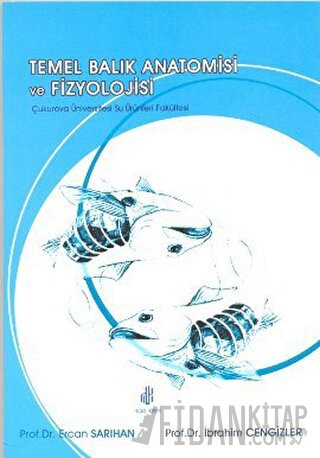 Temel Balık Anatomisi ve Fizyolojisi