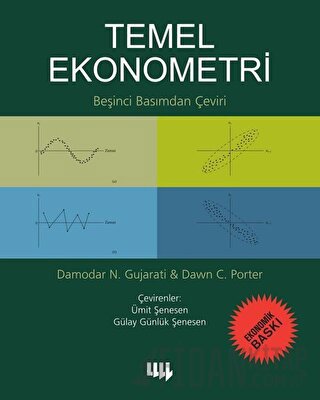 Temel Ekonometri (Ekonomik Baskı)