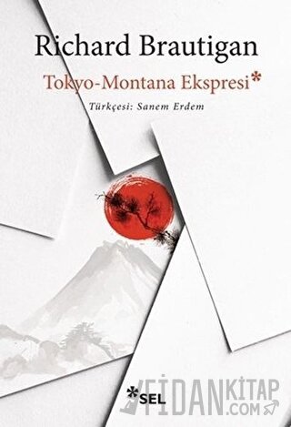 Tokyo-Montana Ekspresi