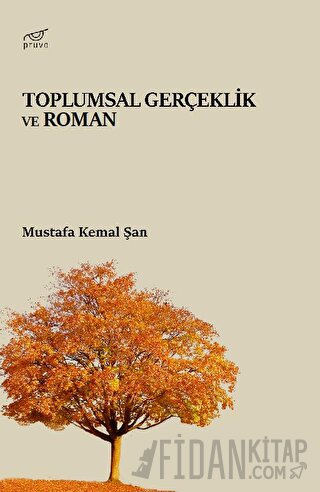 Toplumsal Gerçeklik ve Roman