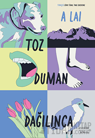 Toz Duman Dağılınca