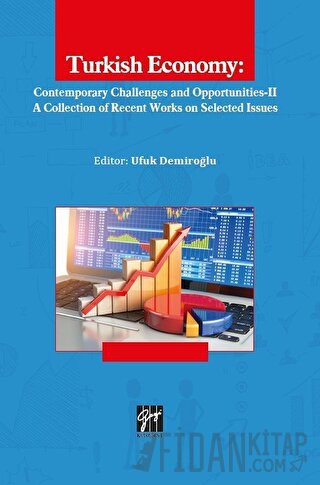 Turkish Economy: Contemporary Challenges and Opportunities 2