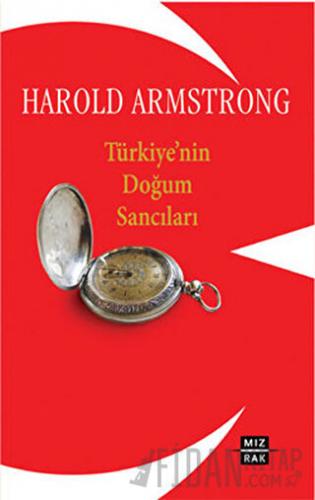 Türkiye'nin  Doğum Sancıları