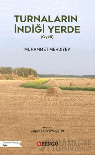 Turnaların İndiği Yerde