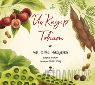 Üç Kayıp Tohum ve Var Olma Hikayeleri Stephie Morton