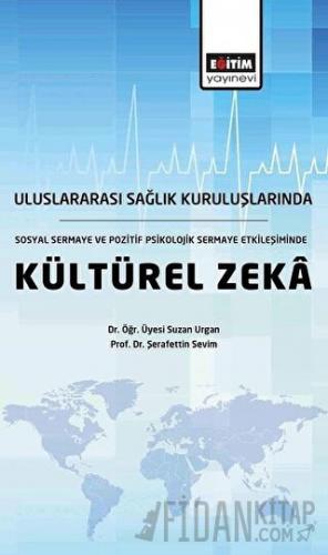 Uluslararası Sağlık Kuruluşlarında, Sosyal Sermaye ve Pozitif Psikolojik Sermaye Etkileşiminde Kültürel Zeka