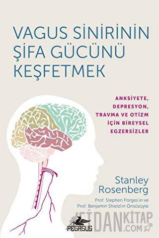 Vagus Sinirinin Şifa Gücünü Keşfetmek