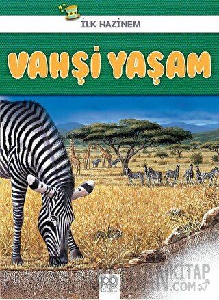 Vahşi Yaşam - İlk Hazinem