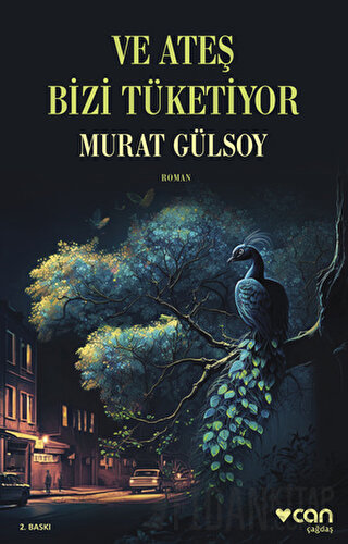 Ve Ateş Bizi Tüketiyor Murat Gülsoy