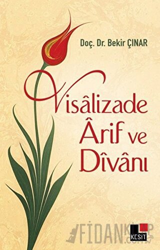Visalizade Arif ve Divanı
