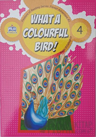 What a Colourful Bird ! - 4 Kolektif