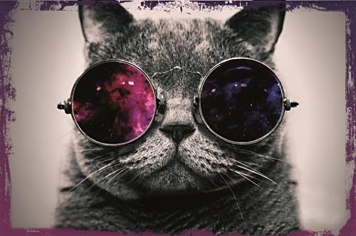 Gözlüklü Kedi (20 Cm X 30 Cm) Mini Retro Ahşap Poster