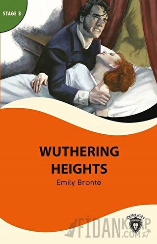 Wuthering Heights Stage 3 Emily Bronte