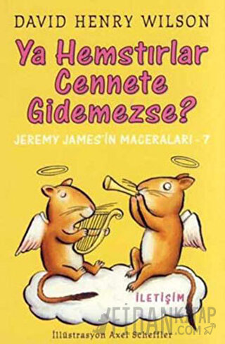 Ya Hemstırlar Cennete Gidemezse?