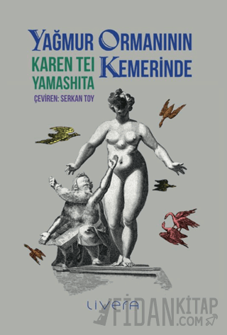 Yağmur Ormanının Kemerinde