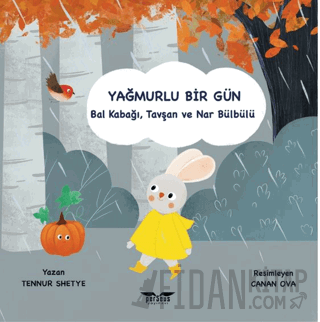 Yağmurlu Bir Gün