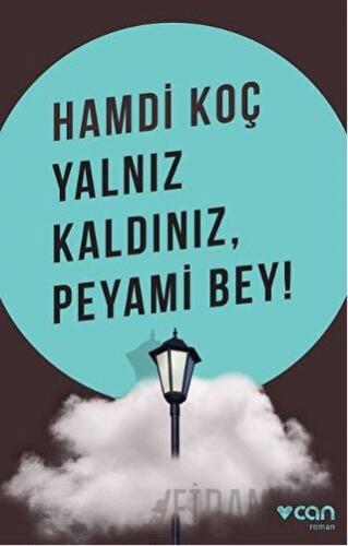 Yalnız Kaldınız, Peyami Bey!