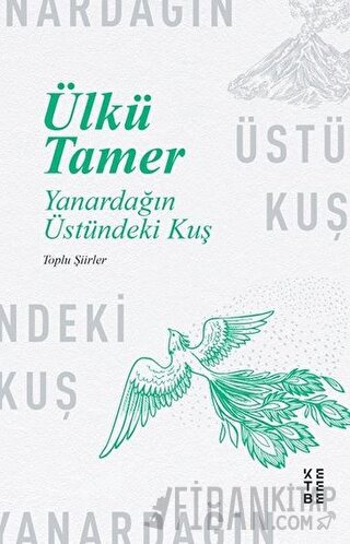 Yanardağın Üstündeki Kuş Ülkü Tamer