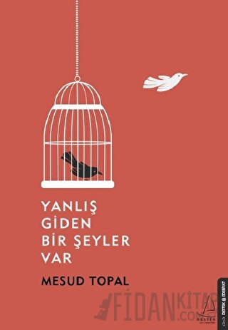 Yanlış Giden Bir Şeyler Var