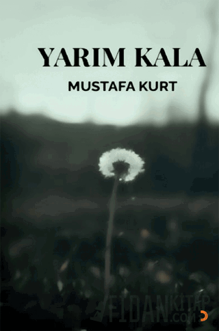 Yarım Kala