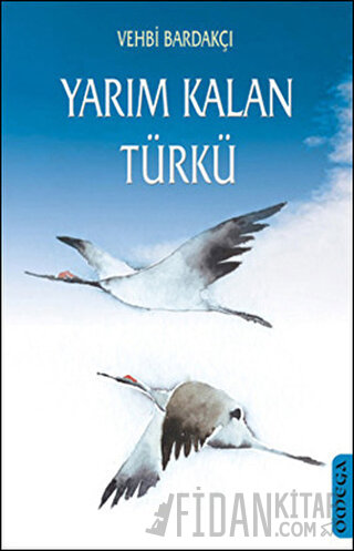 Yarım Kalan Türkü