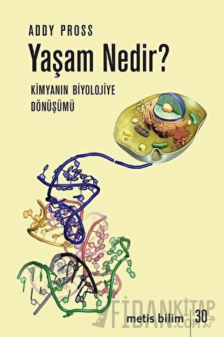 Yaşam Nedir?