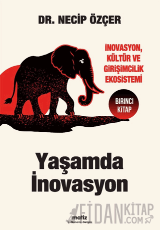 Yaşamda İnovasyon