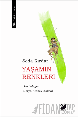 Yaşamın Renkleri